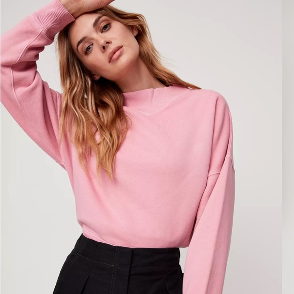 Aritzia Tops - Aritzia Wilfred Free Katy Sweater